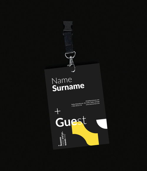 格鲁吉亚Thermorum品牌设计 平面视觉的艺术融合