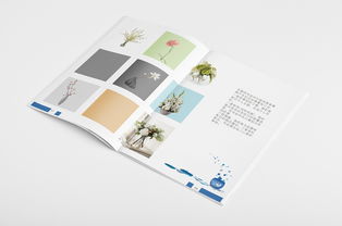 风清云淡我飘过 ZCOOL上的平面书装设计美学